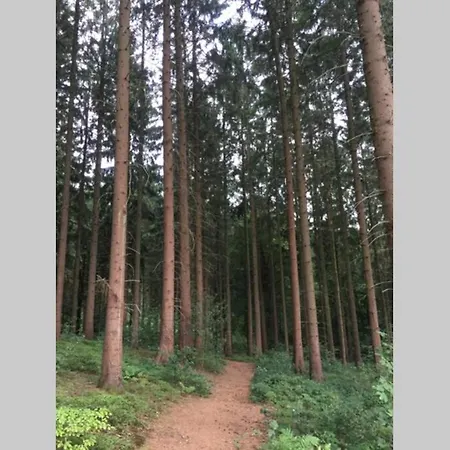 Forest House בית נופש